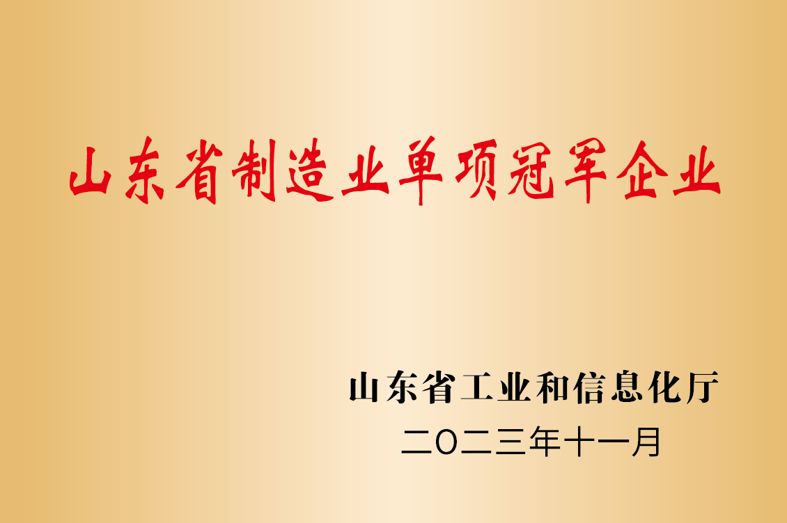 Shandong Province Manufacturing Industry Single Champion Enterprise